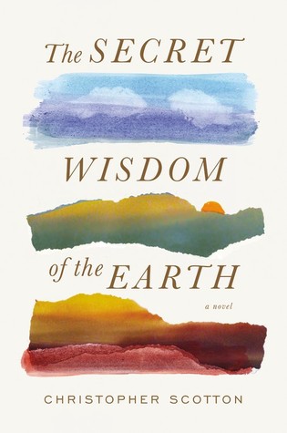 photo of cover of The Secret Wisdom of the Earth which has large colorful paint swatches