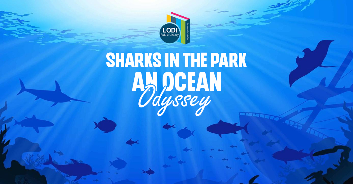 promotional slider for sharks in the park