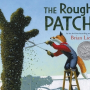 Book cover of The Rough Patch by Brian Lies