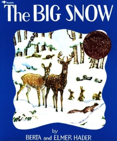 cover of The Big Snow