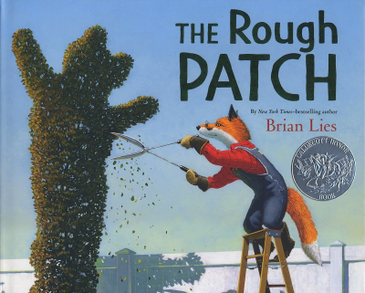 cover of The Rough Patch